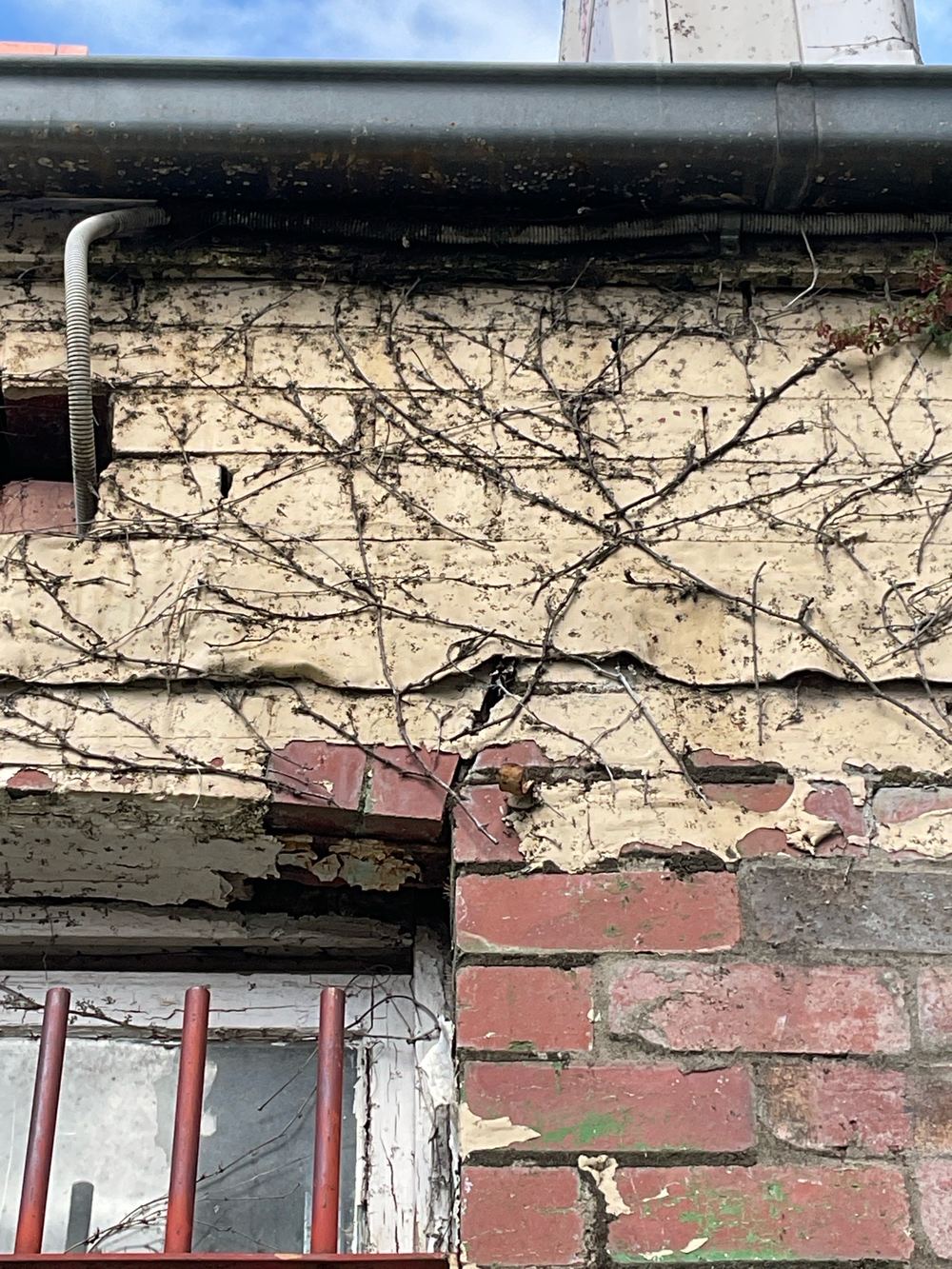 Category 4 wall cracking of 15 to 25mm, pointing to foundation movement, found during a defect investigation inspection in Richmond