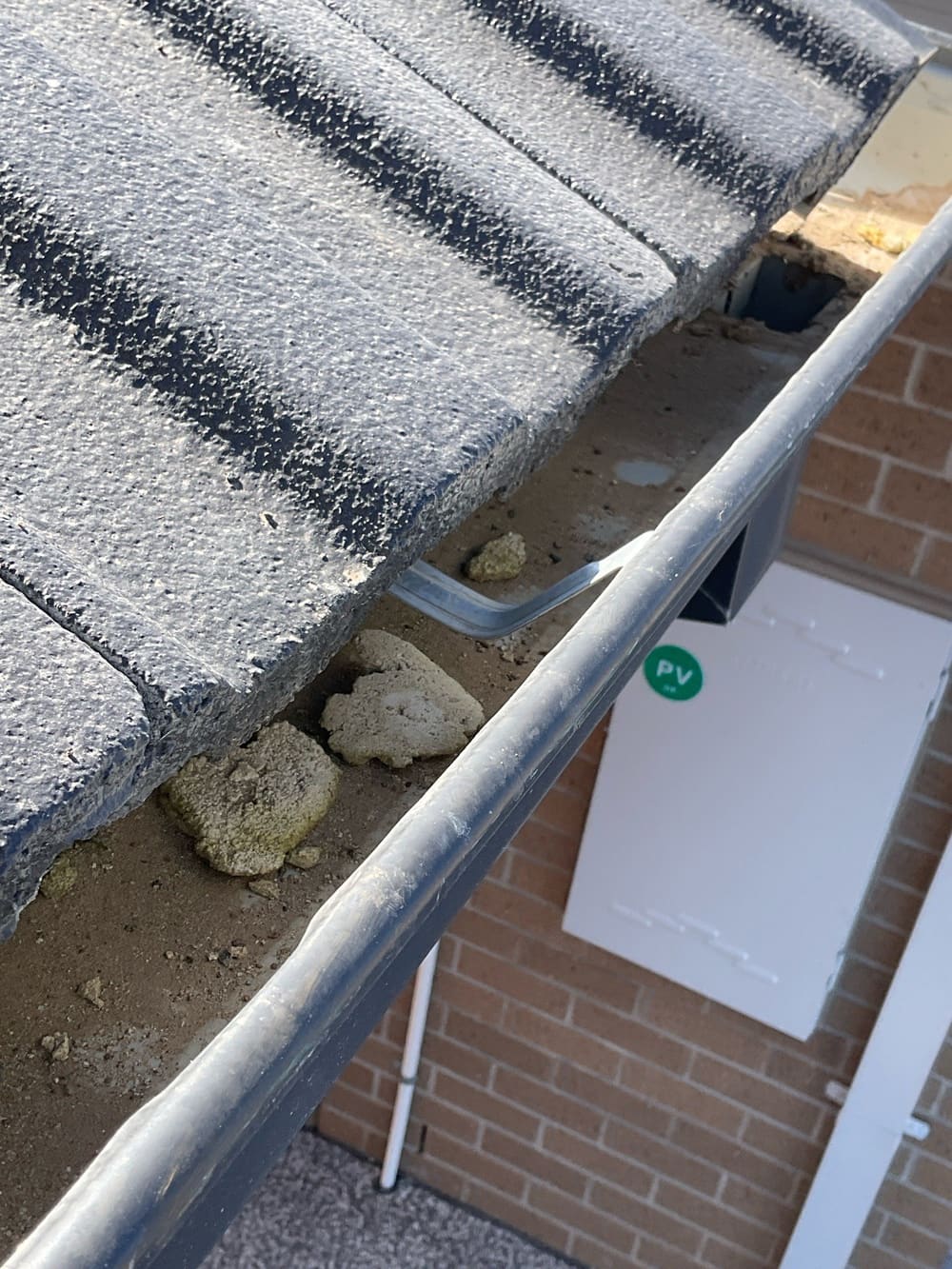 Remove debris, recorded during a pre-purchase inspection in Manor Lakes